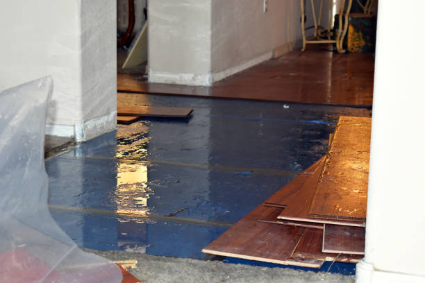 Professional Basement Water Removal technician working in Vernon, AL
